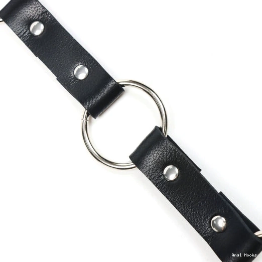 Anal Hooks Hook with Anal Kinky Collar Leash 5853 EverydayUse and 0109